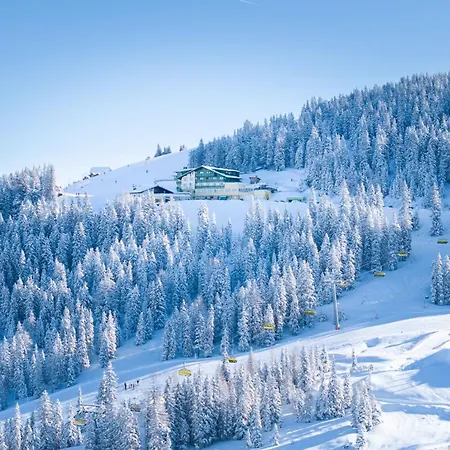 Hotel-restaurant Planaihof Отель 4*
