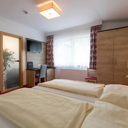Otel Hotel-restaurant Planaihof Schladming
