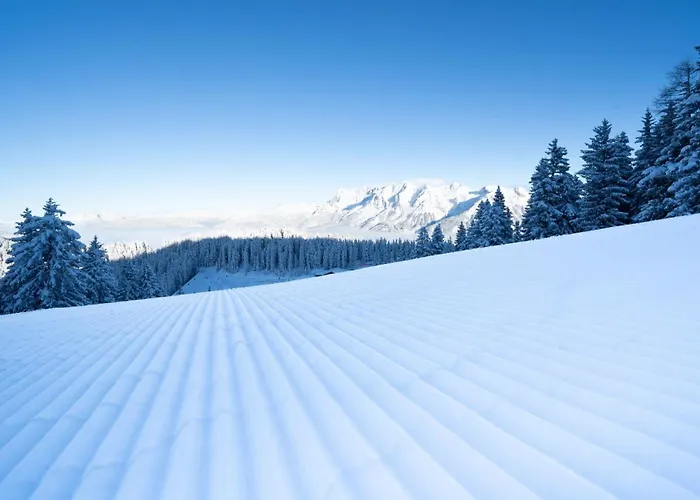 Ξενοδοχείο Hotel-restaurant Planaihof 4*